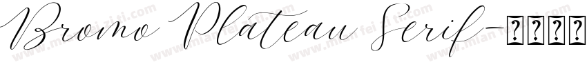 Bromo Plateau Serif字体转换